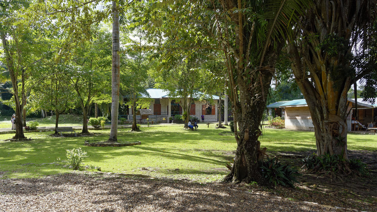 20171227 009 4296  Altun Ha, Near Belize City, Belize, Belize